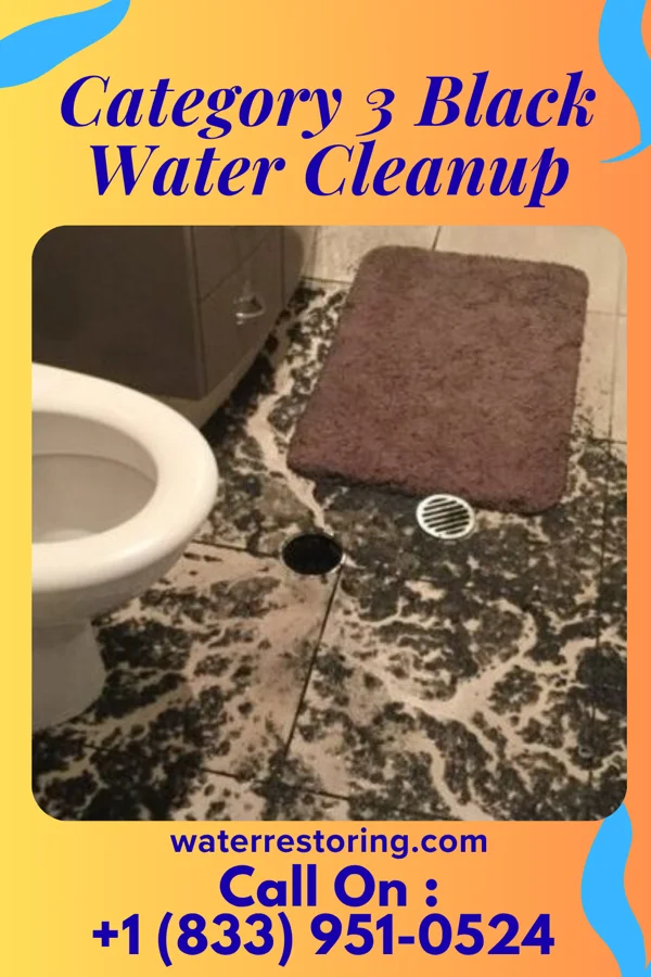 Category 3 Black Water Cleanup in Sterling City, TX