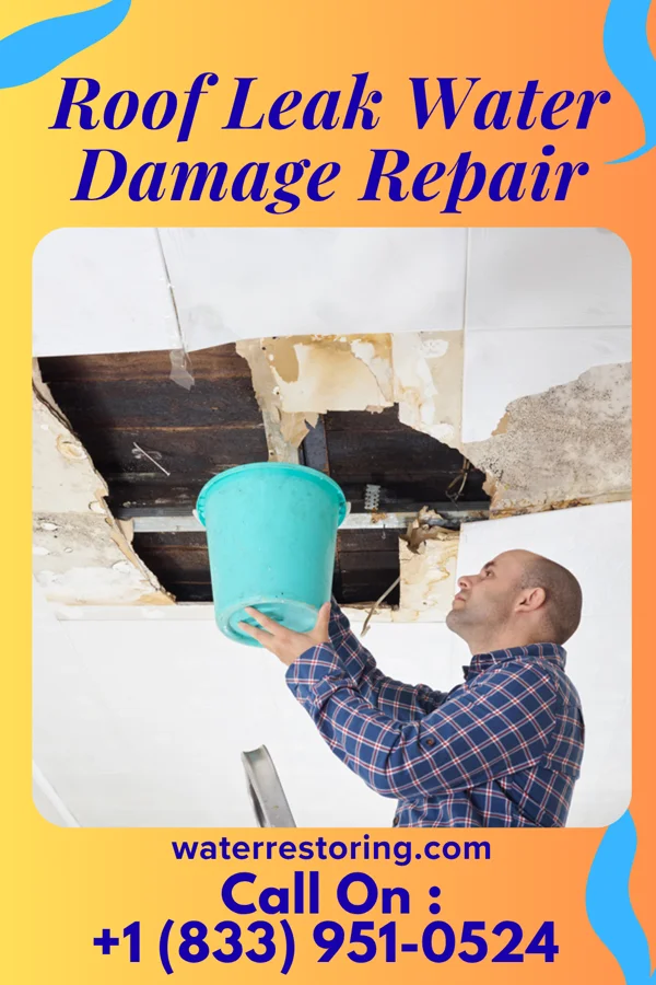 Roof Leak Water Damage Repair in Sterling City, TX
